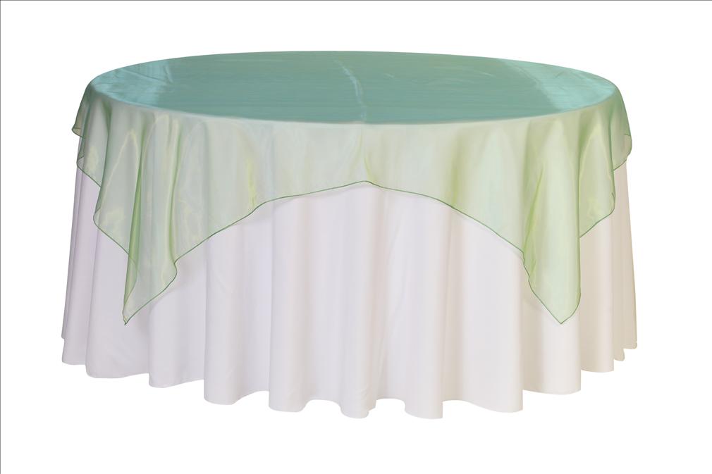 Clover Green Organza Overlay