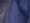 NAVY BLUE (YONV)