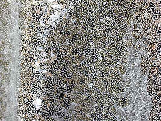SILVER 216